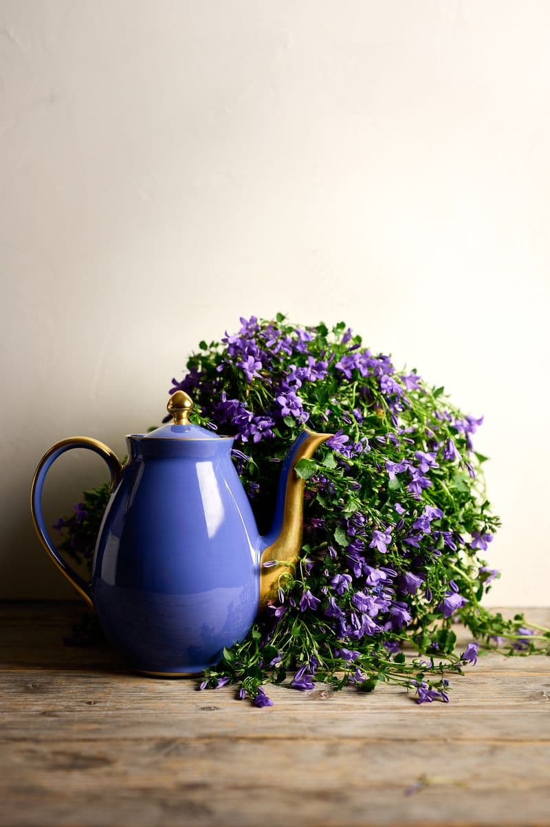 Sous le soleil — 8