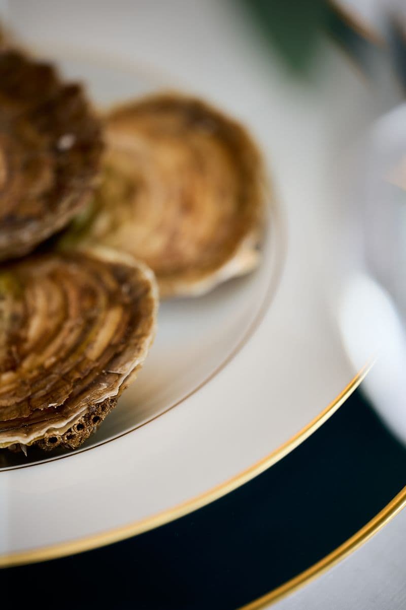 Pur Blanc — secondaire